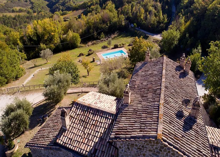 In With Pool אסיסי